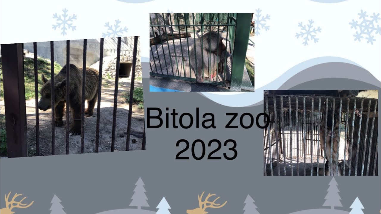 Bitola zoo 2023