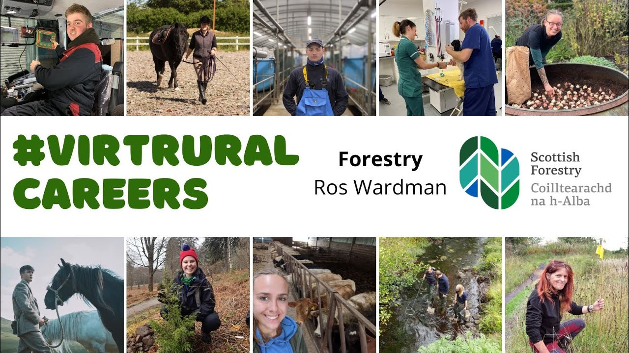 Forestry - Ros Wardman, Scottish Forestry