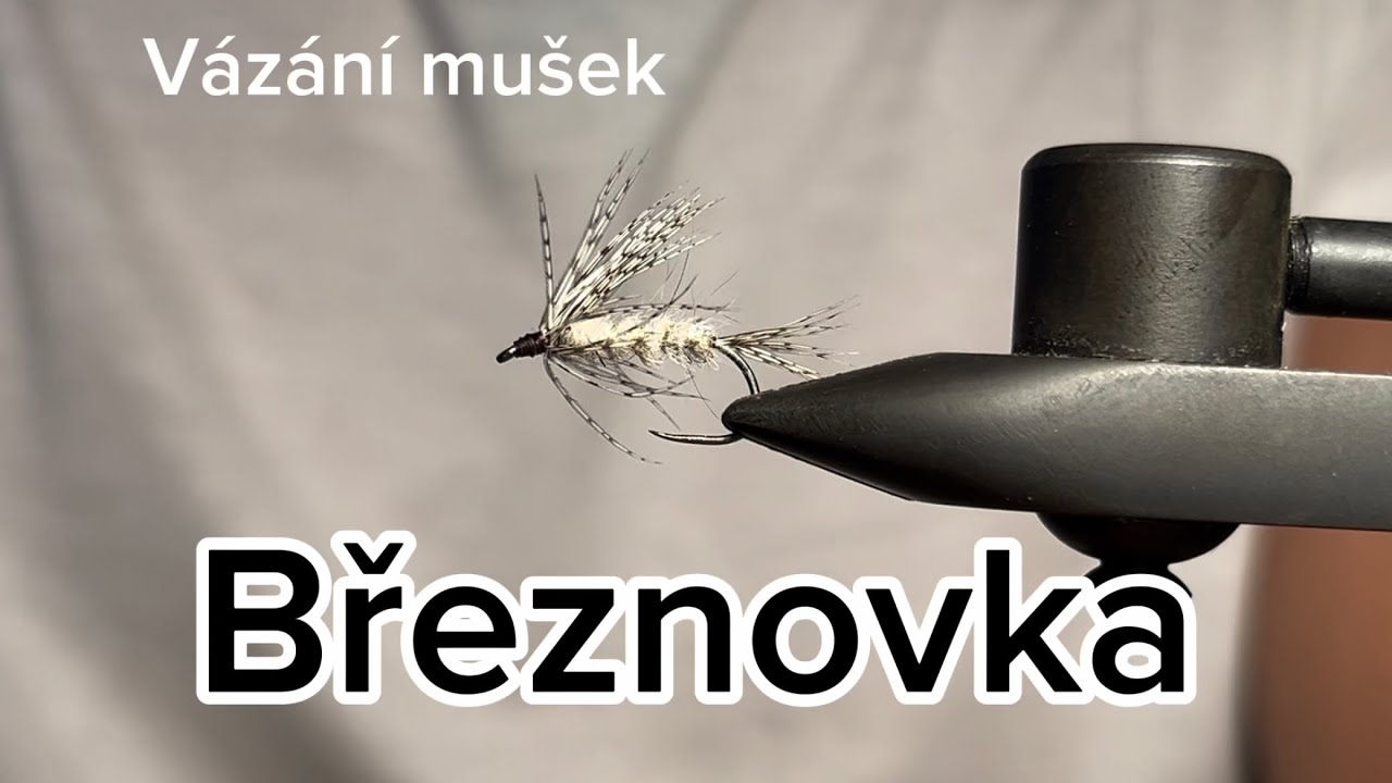 Vázání mušek (březnovka)