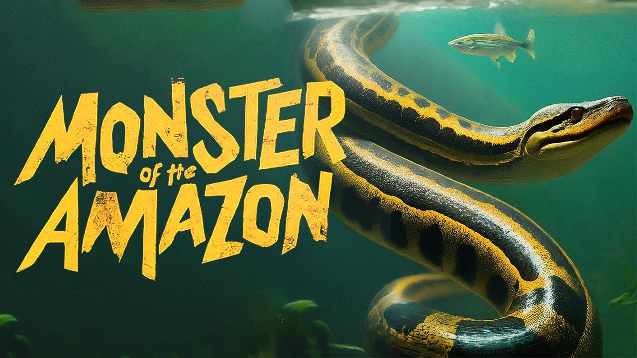 Amazon Anaconda: Unveiling the Secrets of the World's Largest Snake | Documentary TV