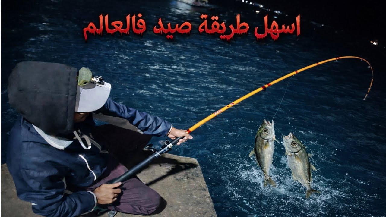 تعلم تقنية صيد السمك بأمعاء السردين  مع شلغلغ