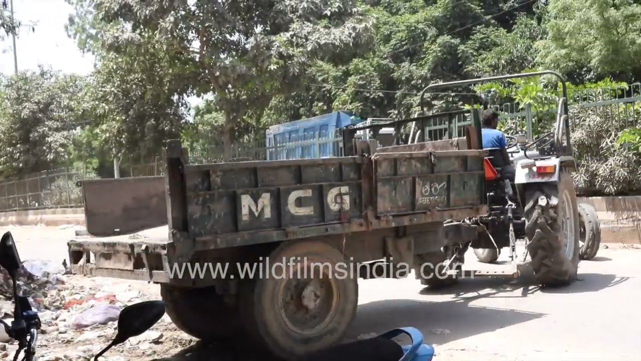 MCD throwing trash on Delhi streets, emptying garbage with tractor: When saviour turns polluter!