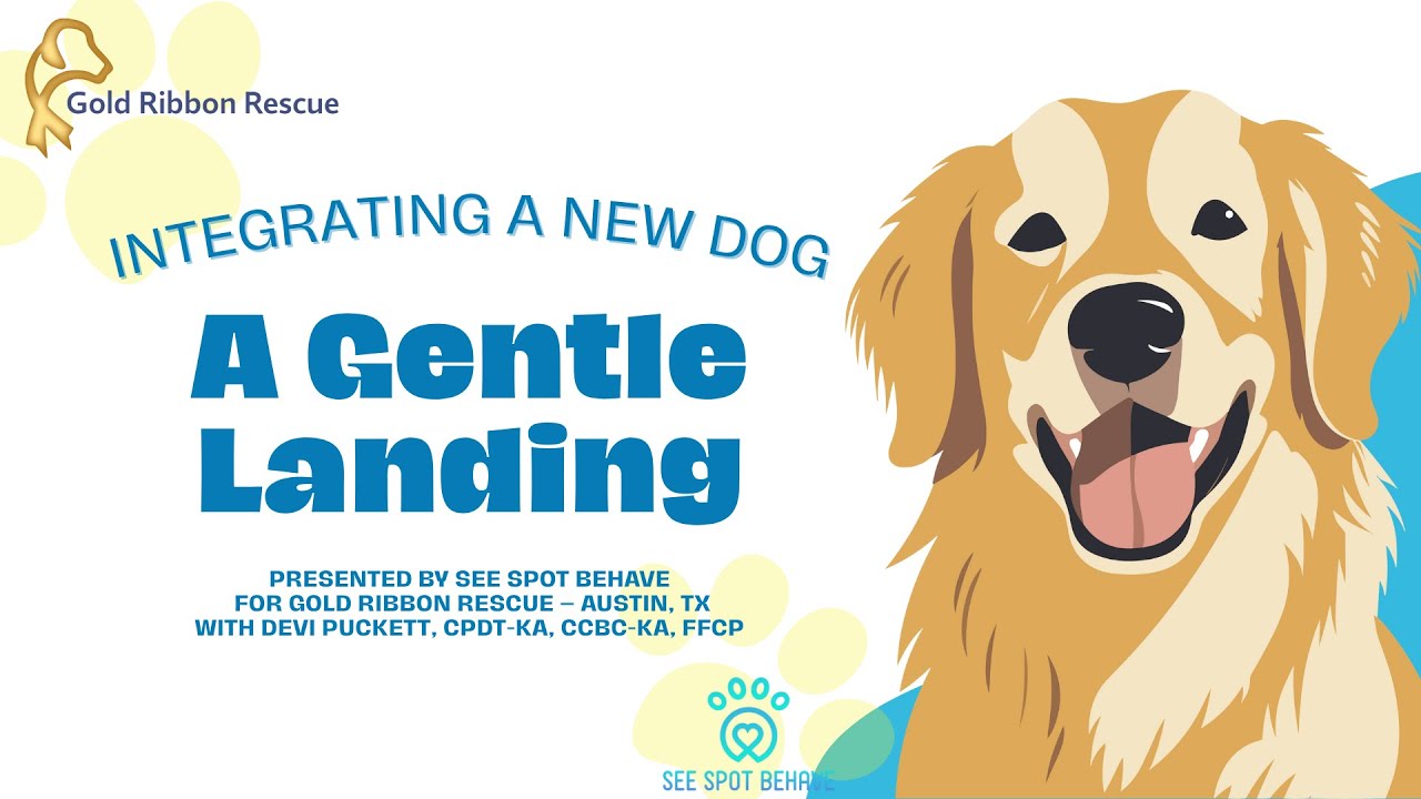 GRR #01 Integrating Dogs Webinar
