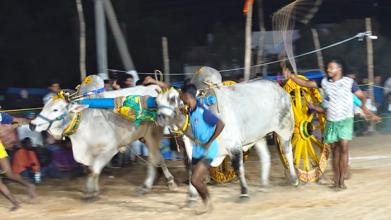 2026-సోపిరాల.పూటి బండి సీనియర్స్.9వ జత.పిన్నబోయిన మనీద్ర యాదవ్ గారు బోయినవారిపాలెం బాపట్ల జిల్లా