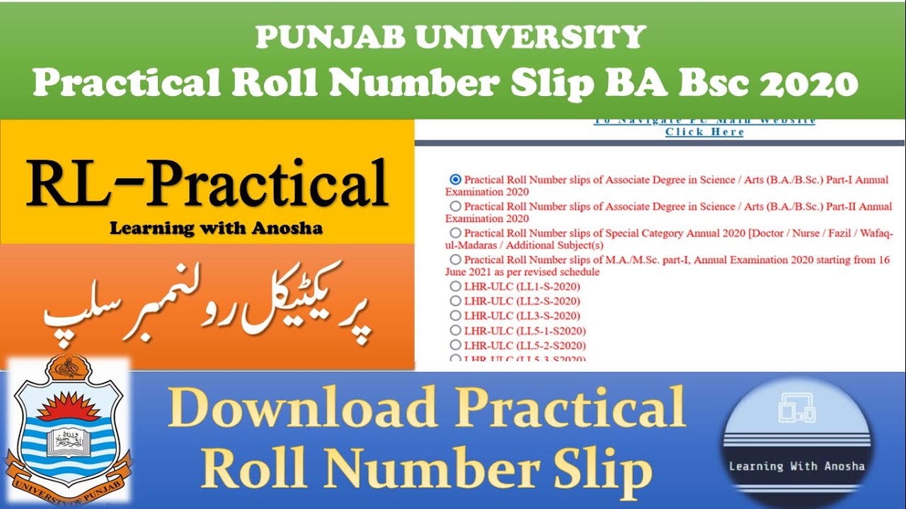 Download Practical Roll Number Slips BA BSc Part 1 and Part 2 Exams 2020 | Punjab university