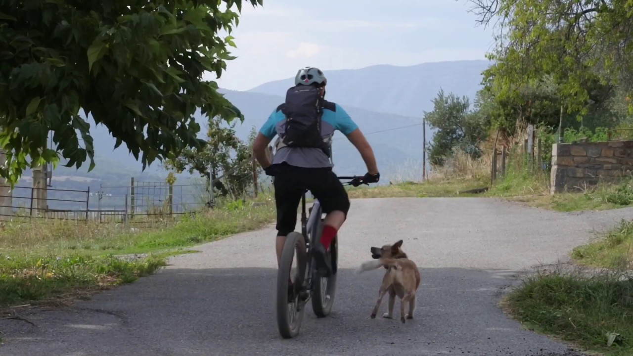Ainsa - Zona Zero - A ride around the house with Jago the trail dog.