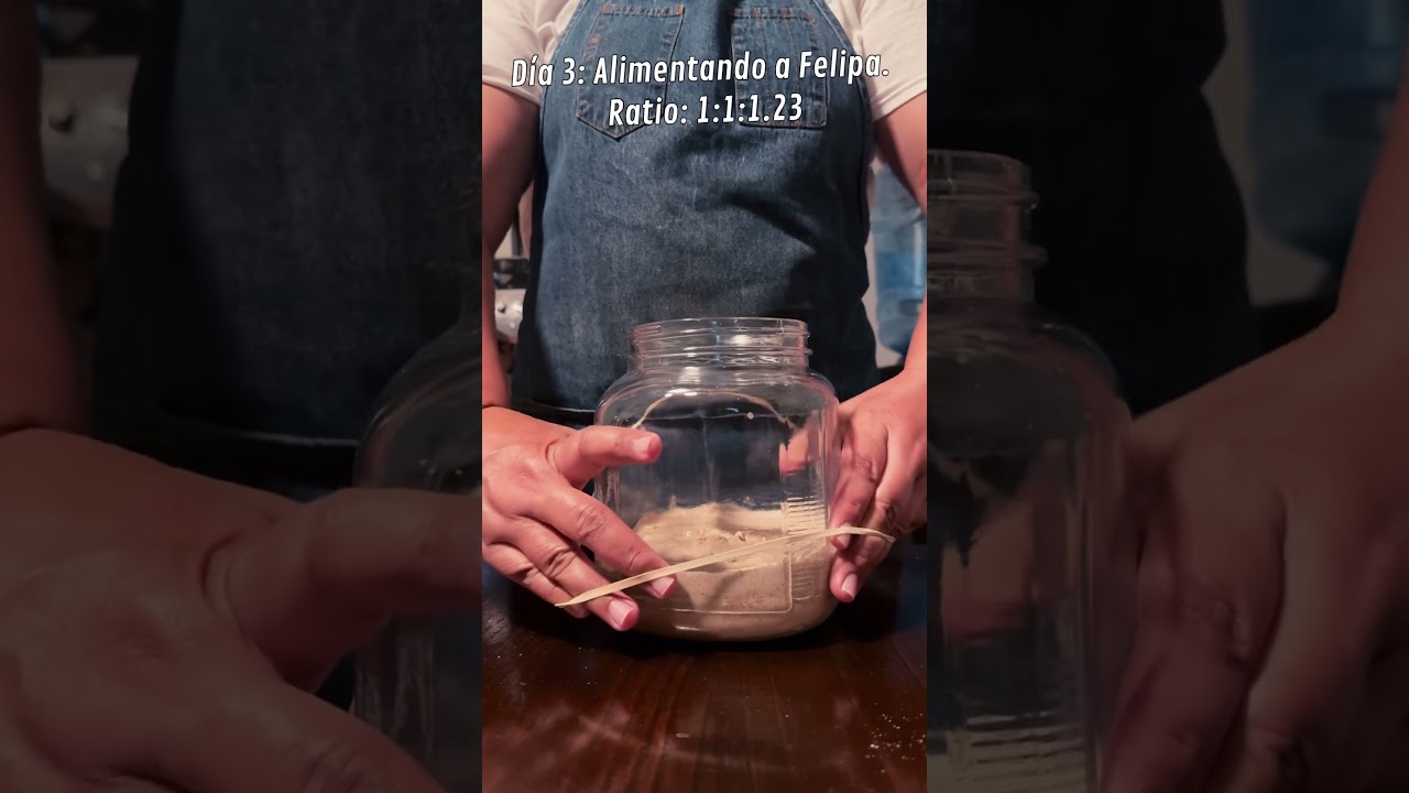 #sourdough #sourdoughbread #masamadre #pan #fermentonatural #levadura #bread