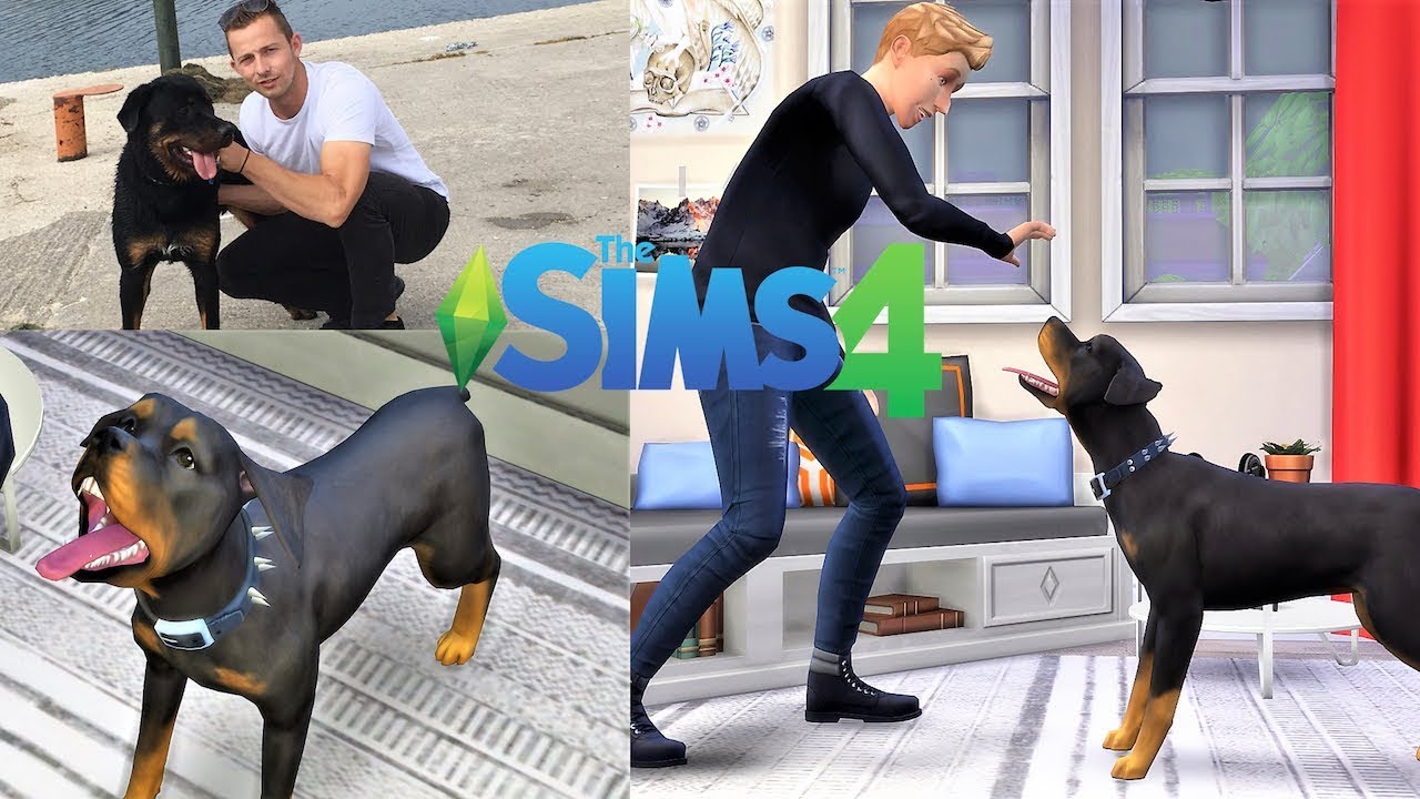 Making My Rottweiler in Sims 4!