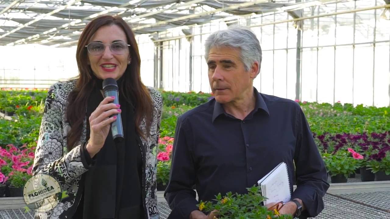 Floritutorial: Calibrachoa, la super petunia!