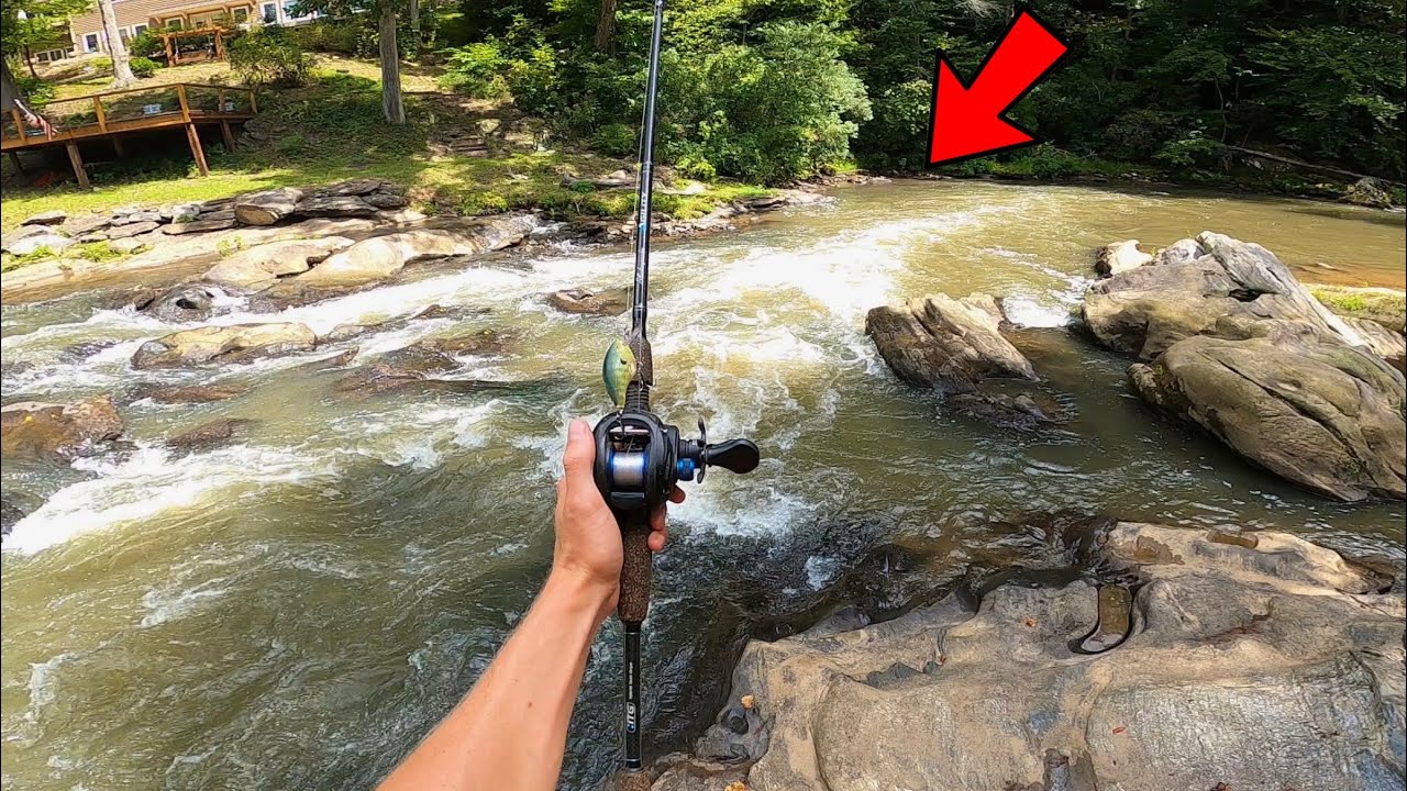 River Fish LOVE Waterfalls!! (Aggressive Bass)