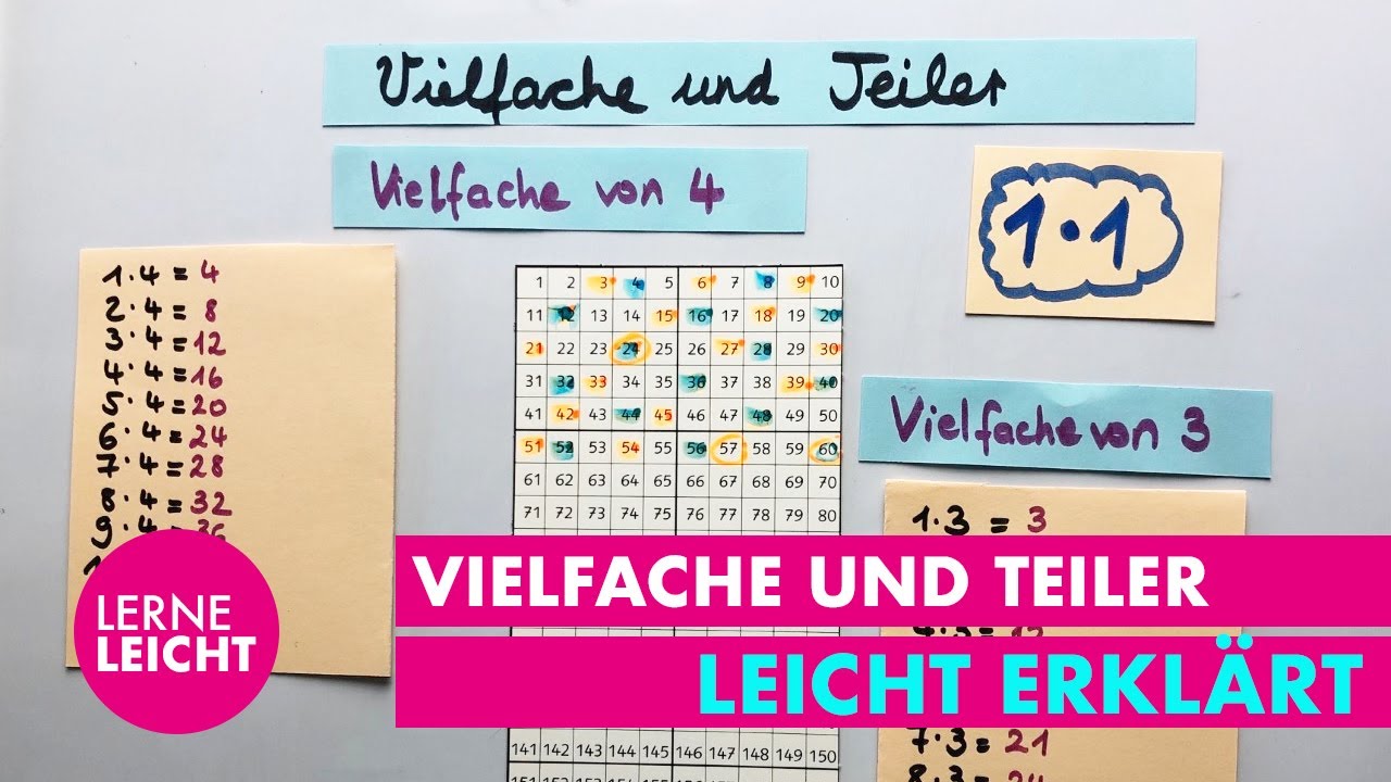 Vielfache und Teiler - einfach erklärt - Mathematik Grundschule