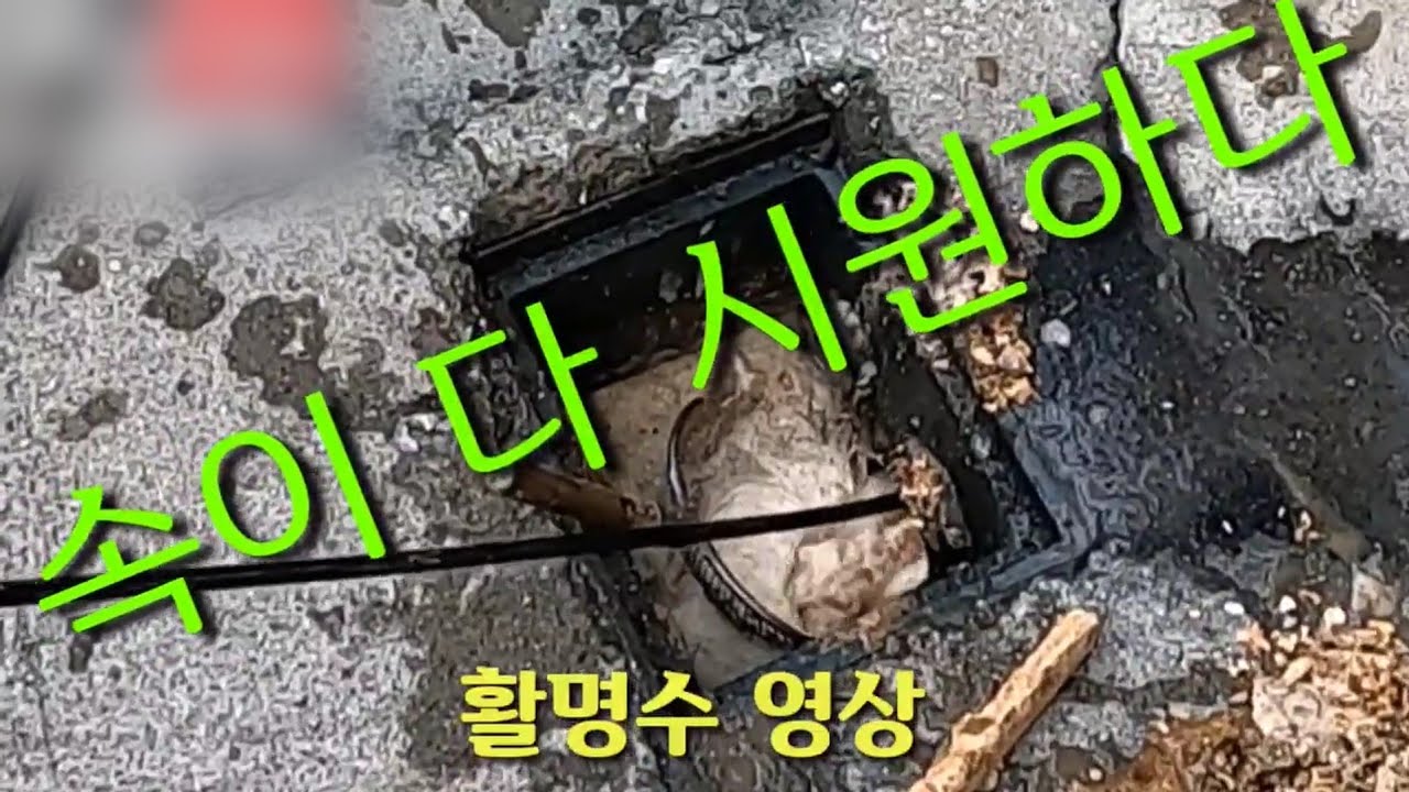 물이 나온다고 뚫린것이 아니다 고압세척으로 하수구막힘 해결해야...