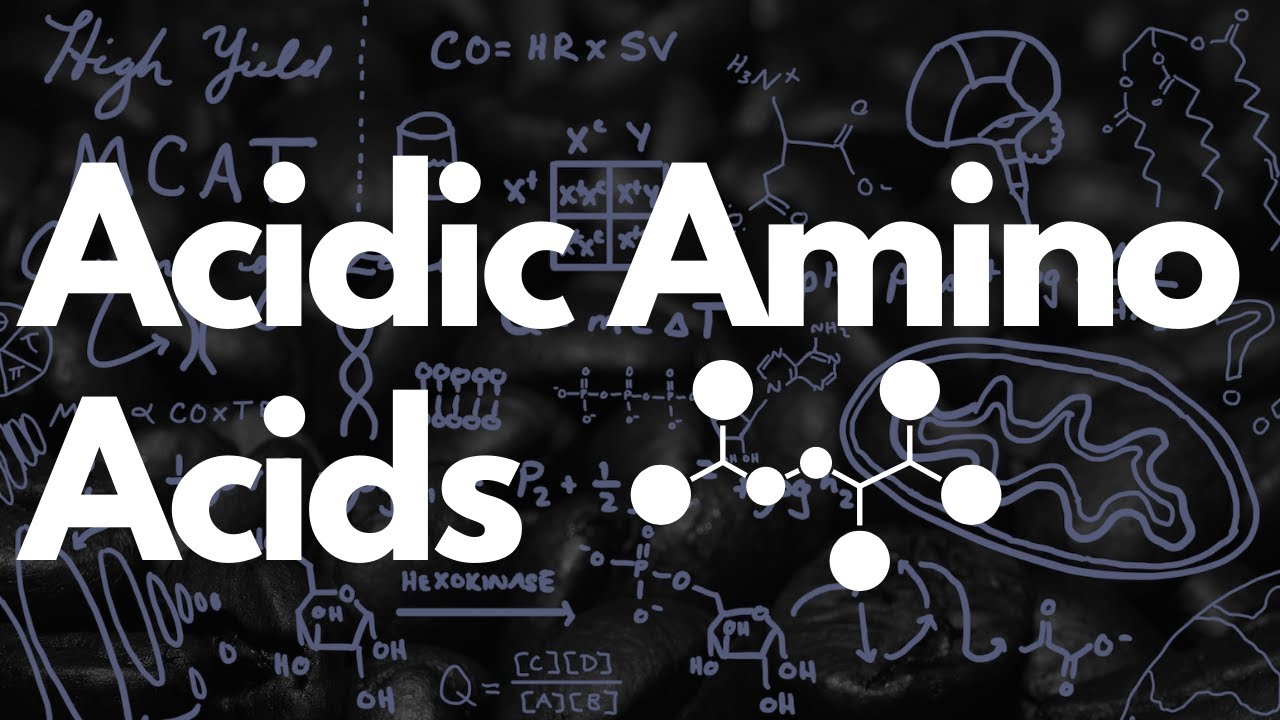 Acidic Amino Acids: Aspartate & Glutamate | MCAT