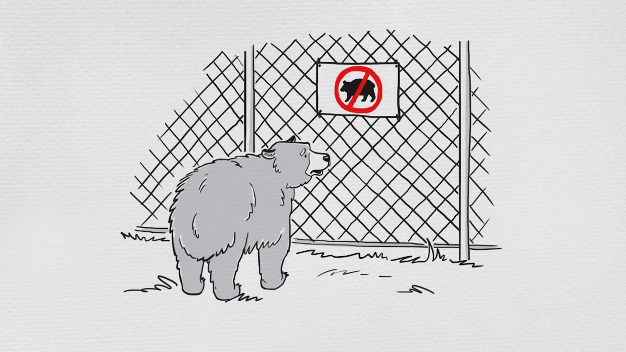 Connectivity Conservation: Why Wildlife Corridors Matter!