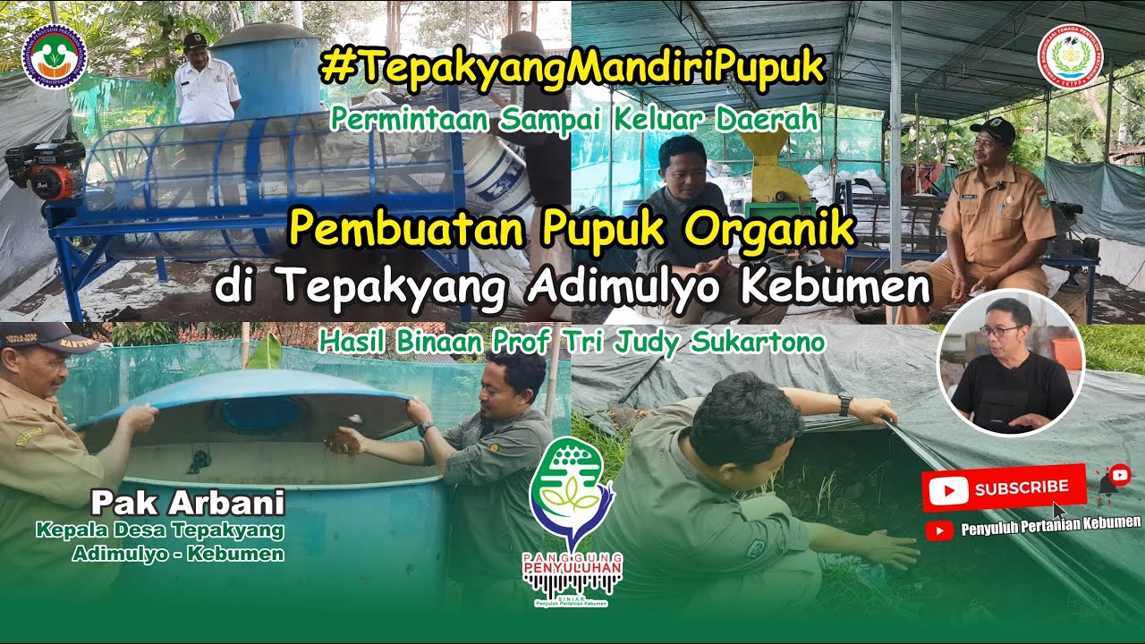 Tepakyang MANDIRI PUPUK // Pembuatan PUPUK ORGANIK Tepakyang, Resep Prof @Tri Judy Sukartono