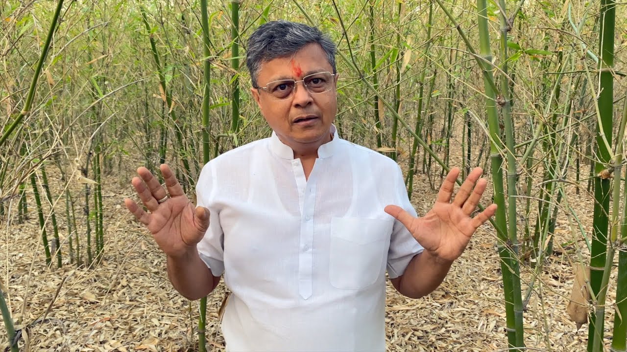 I WILL Become Crorepati From Bamboo | More Shoots after 2 years | 35 lakh from 1 Acre | AgroEarth