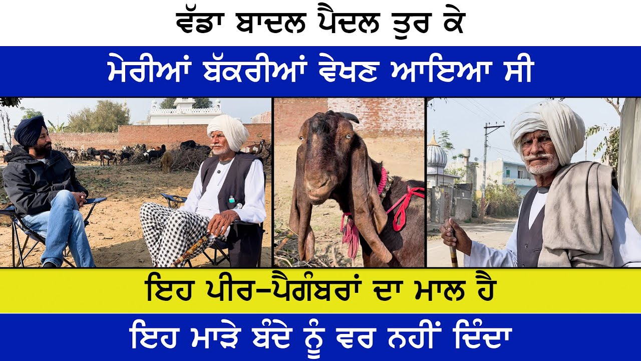 ਬੱਕਰੀ ਪਾਲਣ ਕਿੱਤੇ ਦਾ ਖ਼ਜ਼ਾਨਾ ਹੈ, 82 ਸਾਲਾ ਘੁੱਕਰ ਖ਼ਾਨ