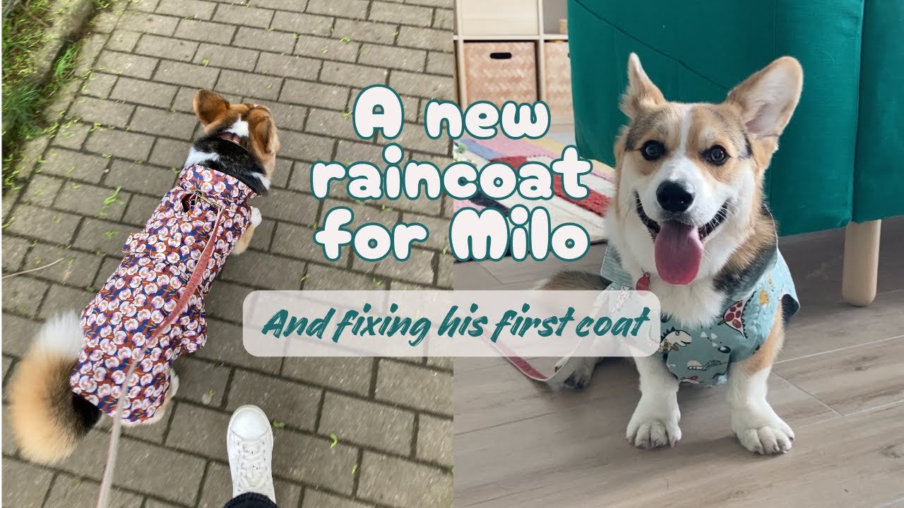 Making a second coat for my corgi - Crazy piecing, making it work!