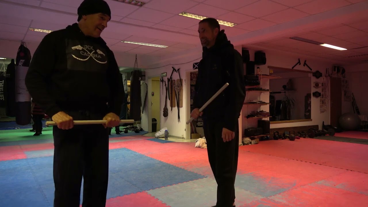 UCC Hamburg Technikaustausch mit einem FMA Lehrer, Sparring und meine Meinung über Großmeister🤣
