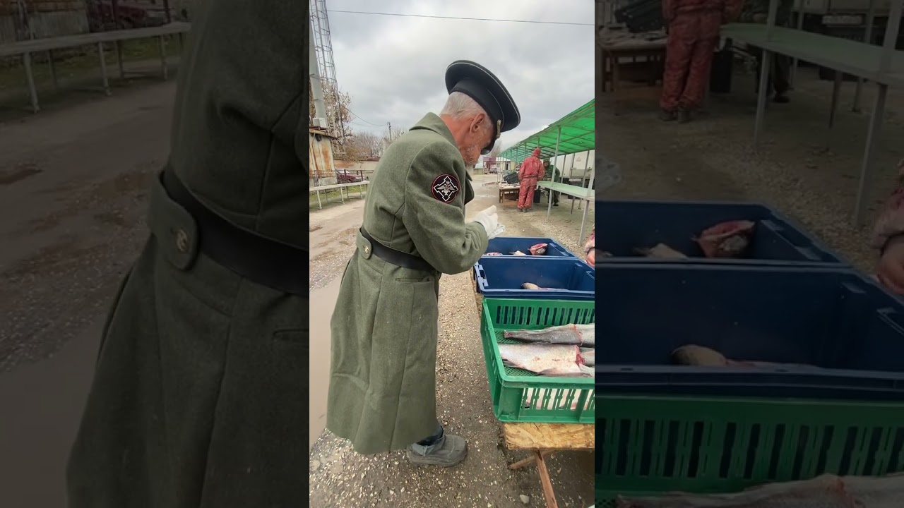 Как Дед рыбу покупал . #рек #рекомендации #топ #shortsvideo #а4 #тренды #волгоград #россия #shorts