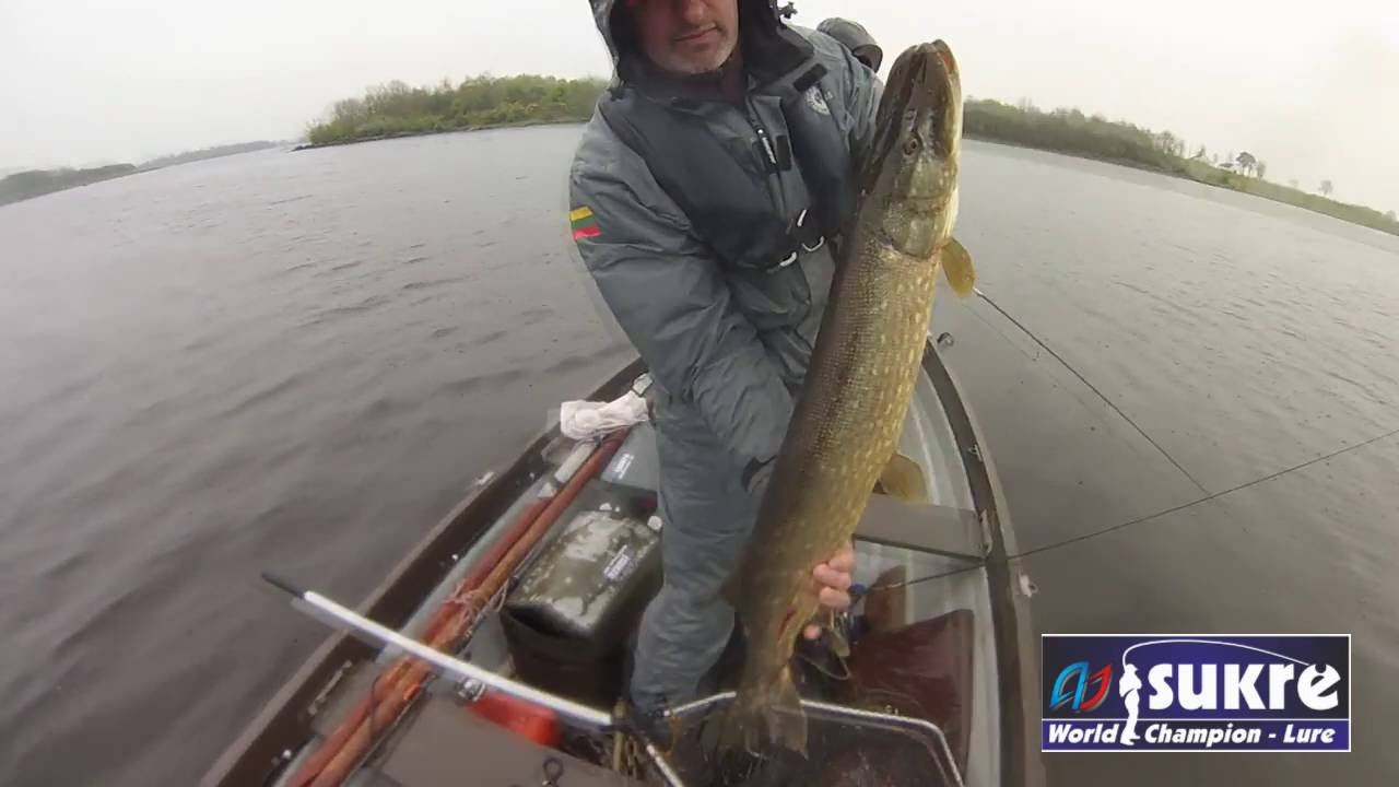 Lydekų žvejyba su Janu Prialgausku. Lydekos ant Sukrės. Pike fishing on Sukre. #arvydka #sukre