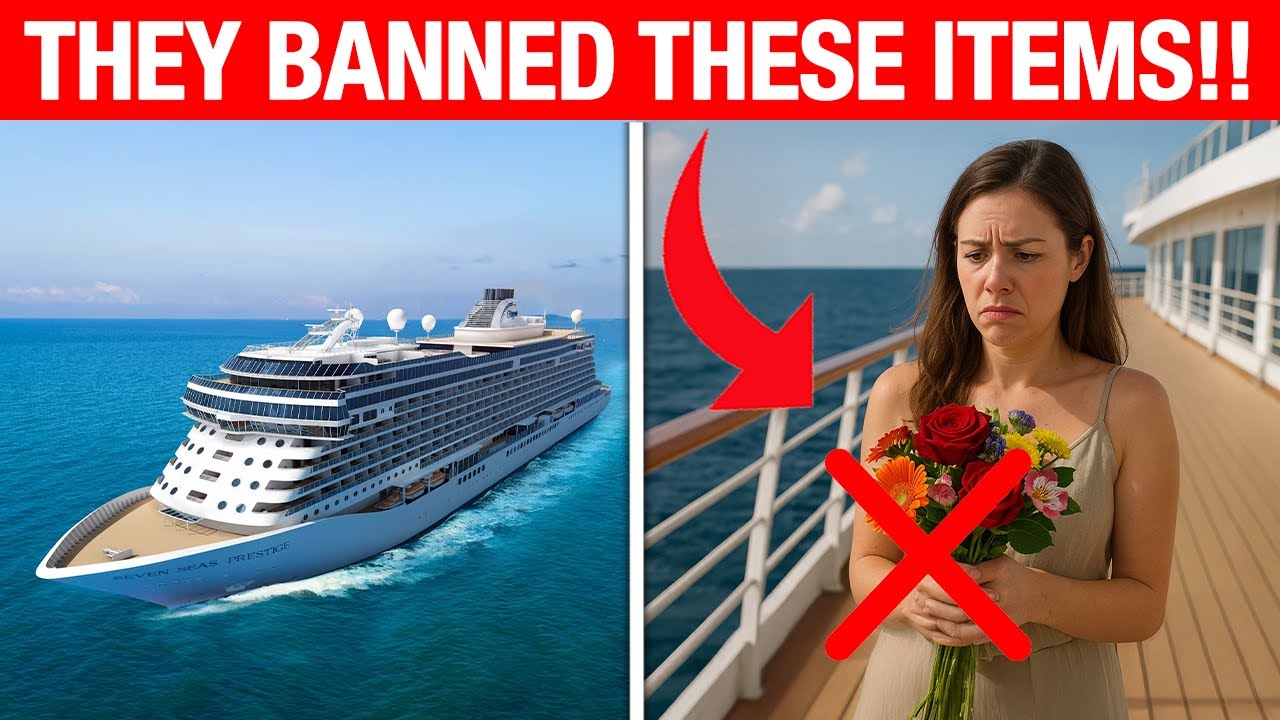 Cruise Lines Secretly BANNED these 13 everyday ITEMS without telling