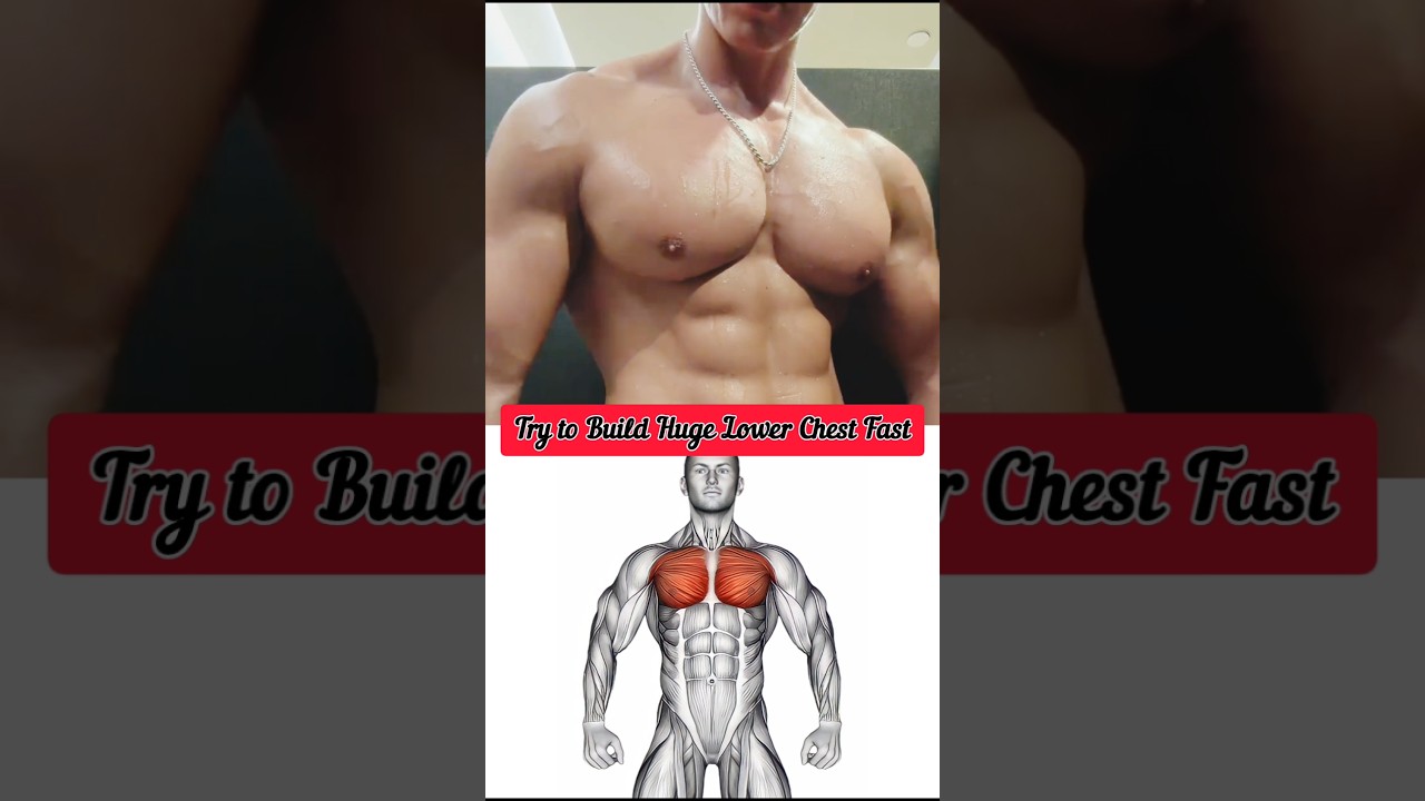 Ultimate Lower Chest Workout &ndash; Build Powerful Chest Fast! #shorts #youtubeshorts #ytshorts #youtube