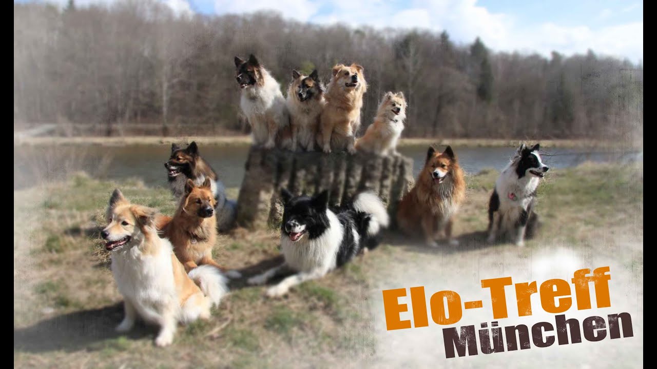 Elo Treffen in München