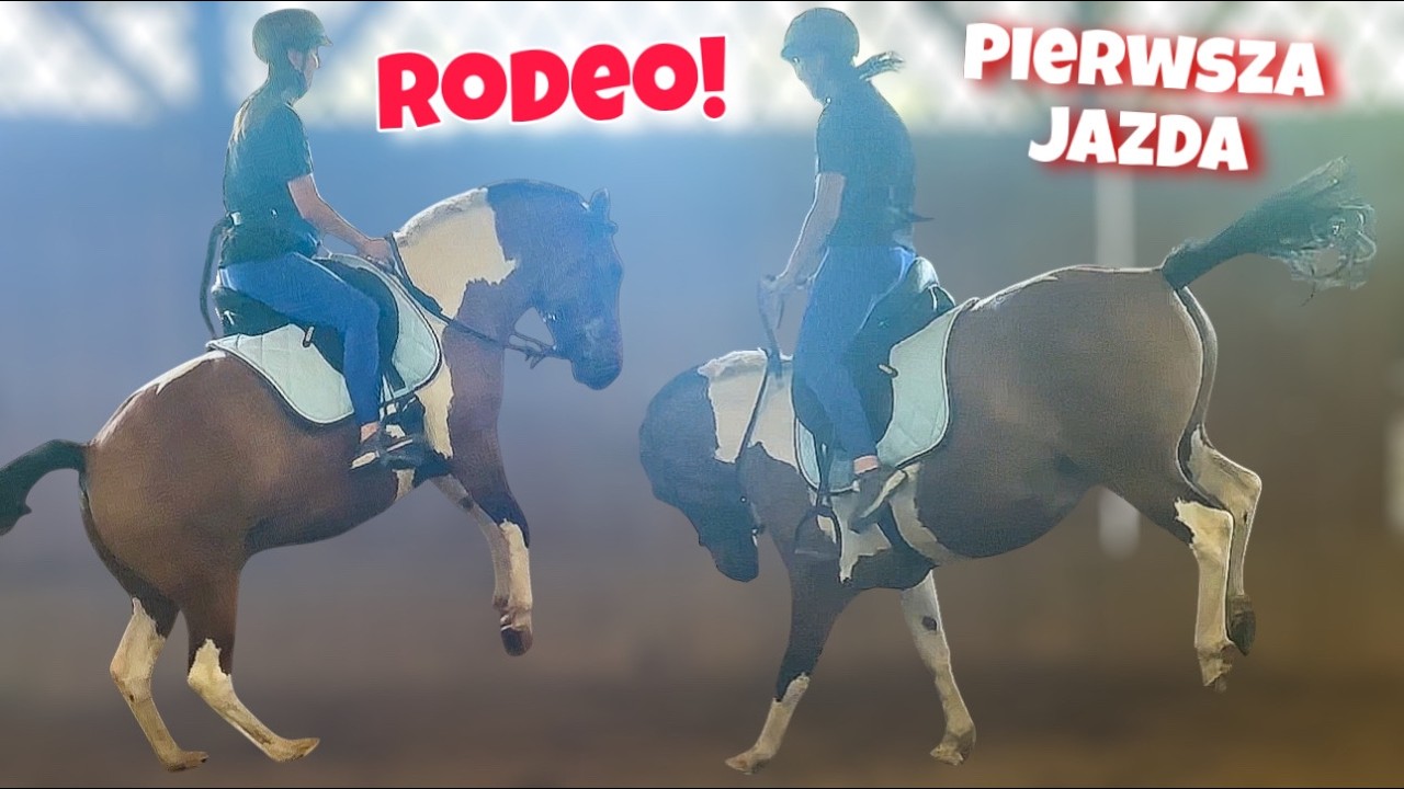 WRACAMY PO DŁUGIEJ PRZERWIE! CHOROBA HAKI I OBOZY JEŹDZIECKIE W STAJNI PODOLIN