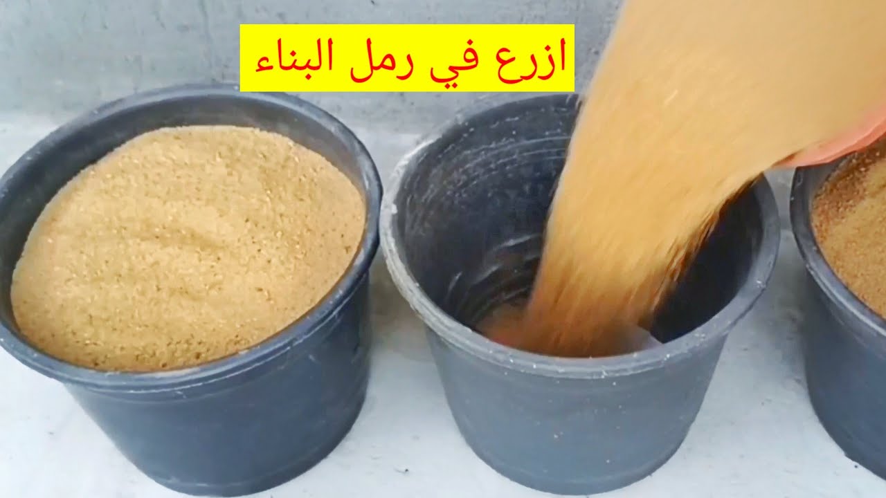 ازرع في رمل البناء بدون مشاكل