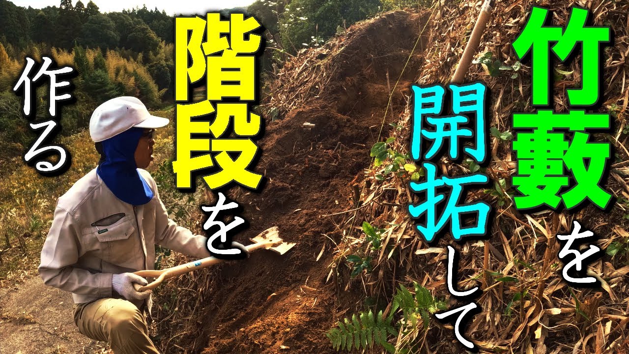 竹藪を開拓してショートカット用の階段を作成する小屋暮らし弱者男性