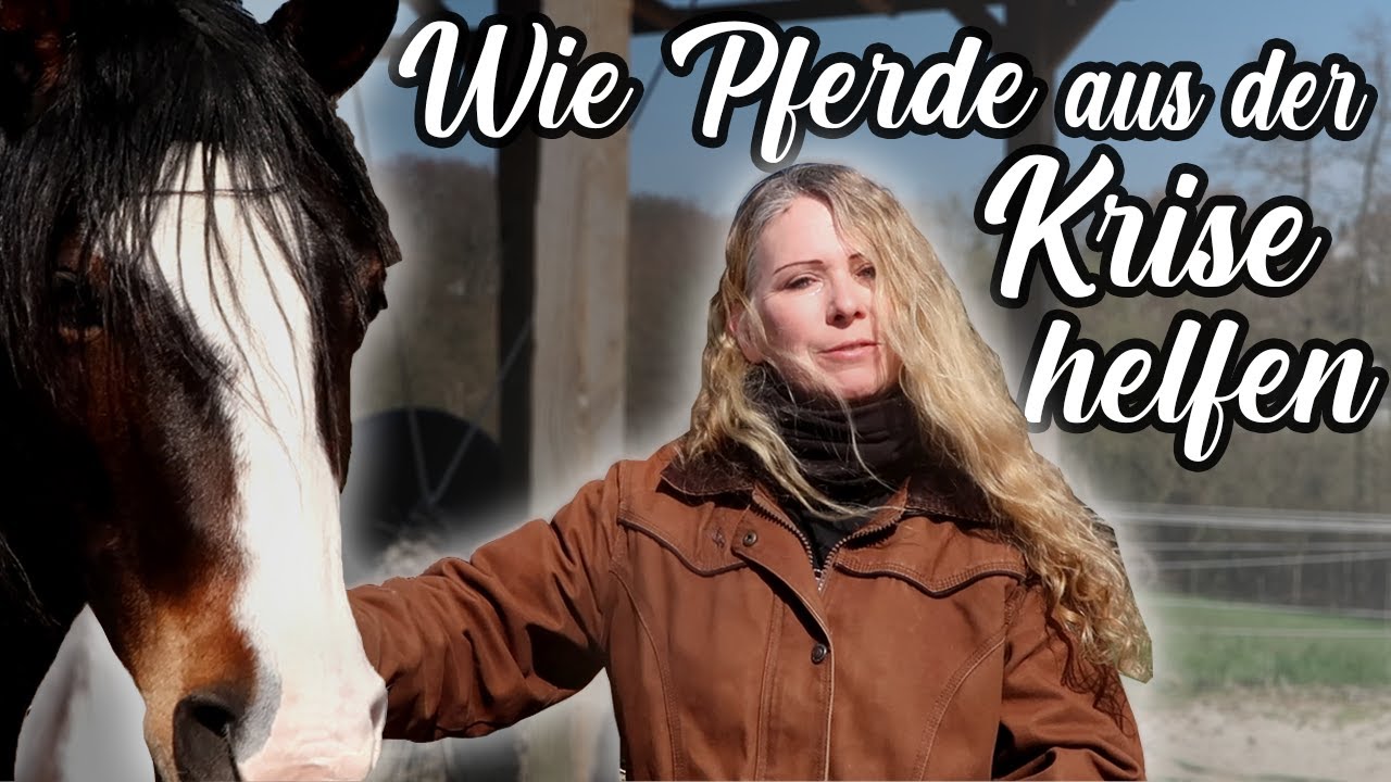 Was können wir aus der Krise für unsere Pferde lernen?