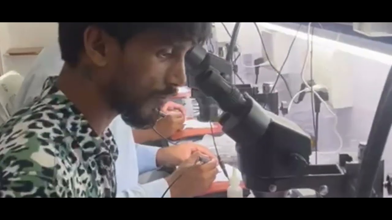 #my network chip level training institute on class for students.