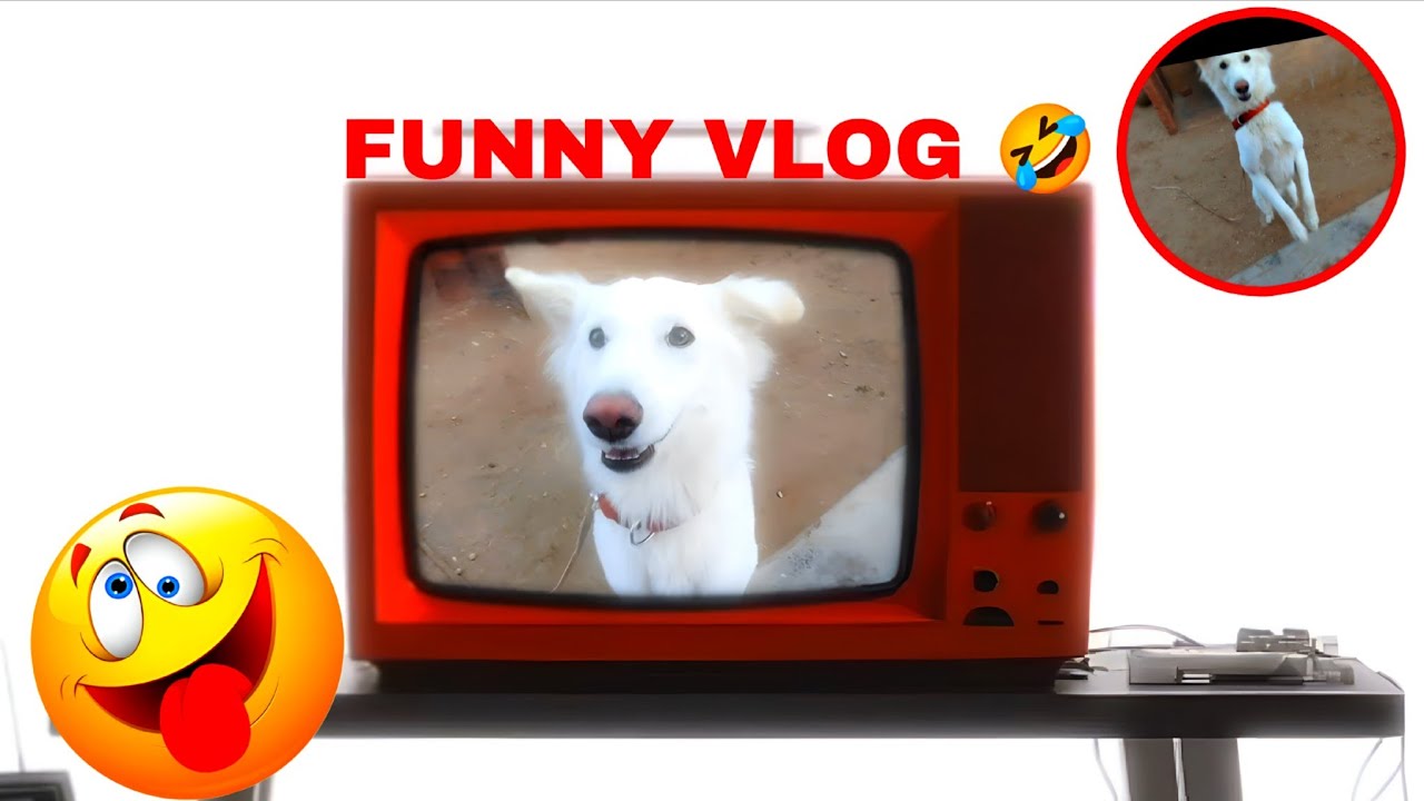 Aaj Timu Ne Chocolate Chhilate Time Masti Kar Di 😂🐶 | Dog Funny Vlog | Village Life