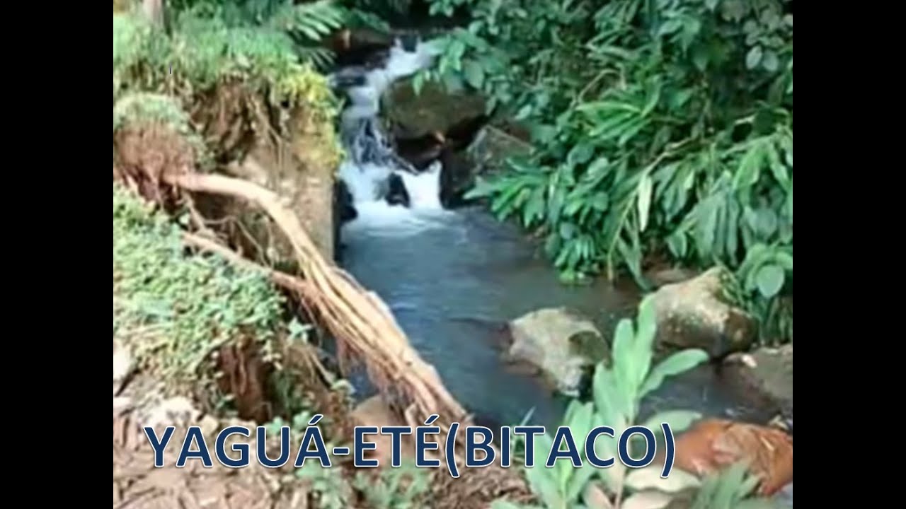 camino a casa (Bitaco - Valle del Cauca) - Way home