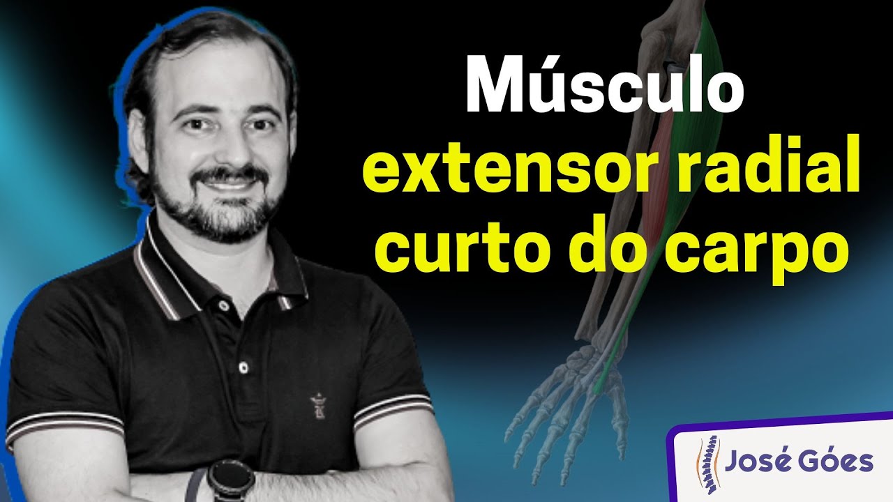 Músculo extensor radial curto do carpo | José Góes