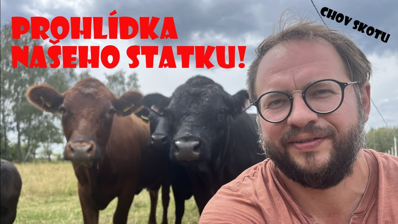 Jak CHOVÁME SKOT DEXTER na našem statku? - PROHLÍDKA NAŠÍ FARMY (Malá farma - 2 ha na 7 ks skotu)