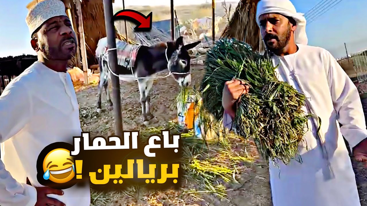 أبو راشد باع الحمار بريالين 🤣🤣🤣