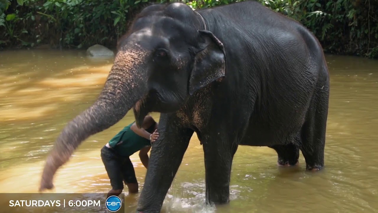 Sri Lanka | Luxury Escapes, The world's Best Holidays - Season 3 Episode 3 (Trailer)