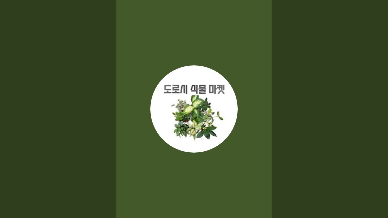 3월14일 도로시 농원 식물 소개