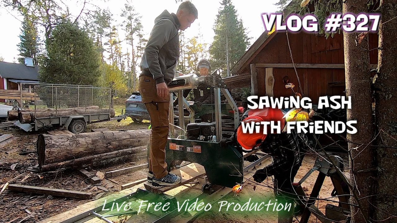 Sawing ash with friends. Vlog #327 - S7