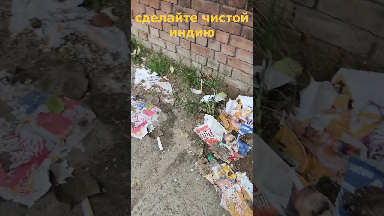 СДЕЛАЙТЕ ЧИСТОЙ ИНДИЮ #индия #viral