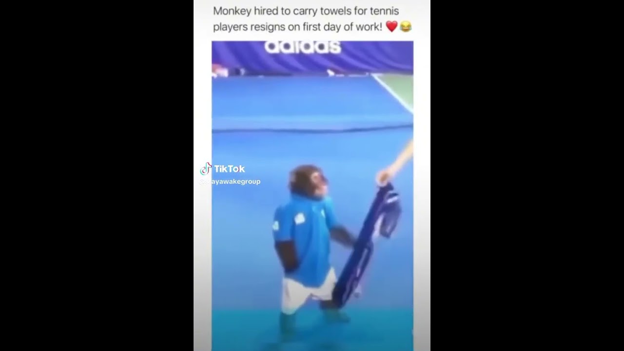 #amp #funny #hoodcomedy #kaicenatshorts #lebronjames #nba #reupload #trending #viral #youtubeshorts