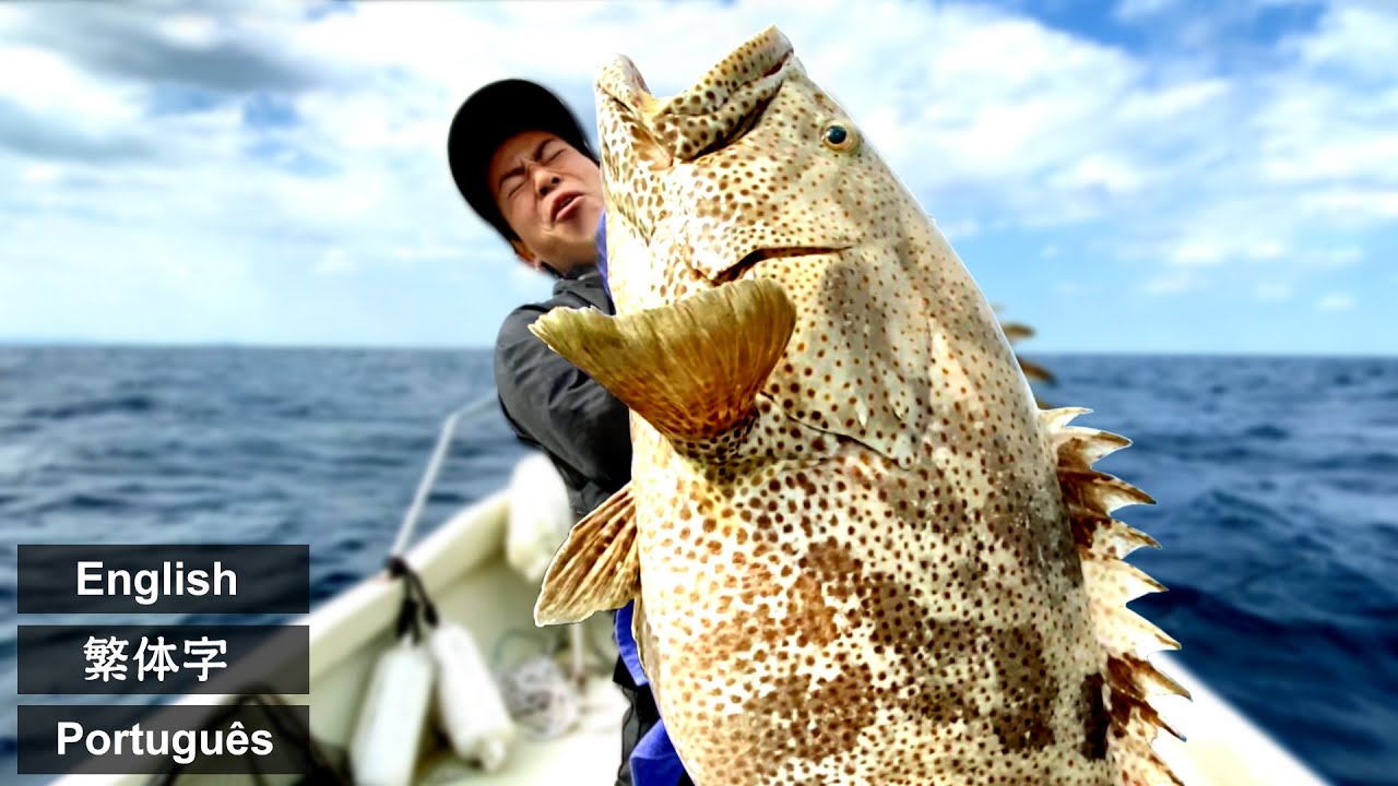 沖縄の超巨大ハタ【アーラミーバイ】Ultra Giant Grouper Okinawa