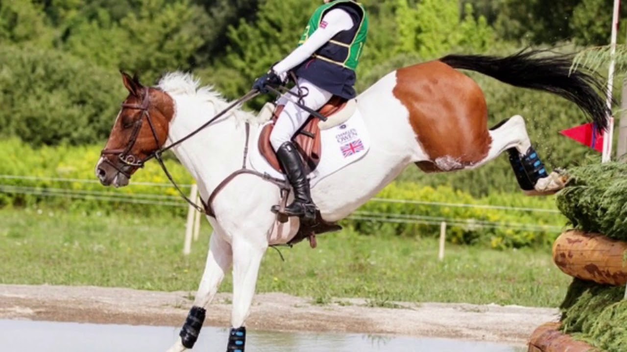 Little Indian Feather - PONY EUROPEANS 2017: HUNGARY