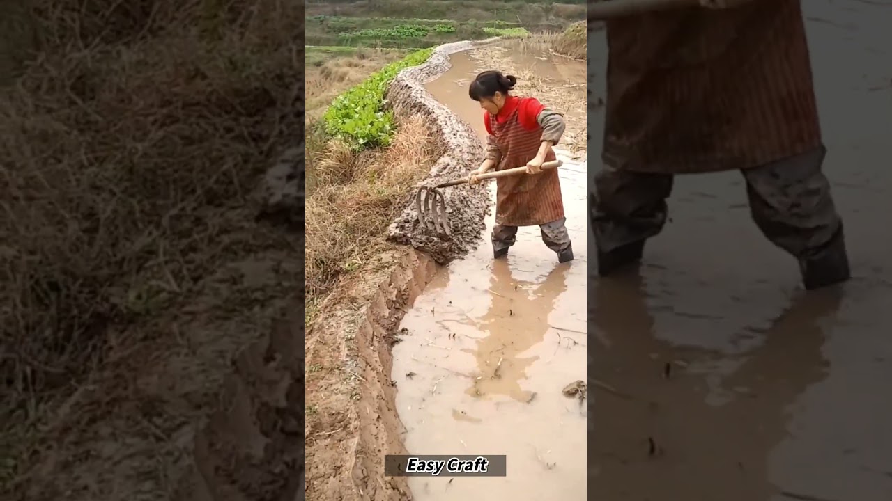 Building Water Border Wall in Muddy Paddy Field