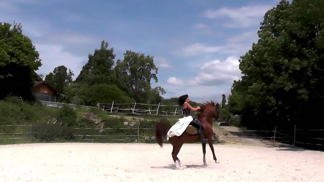 Equestri'Art'Evento