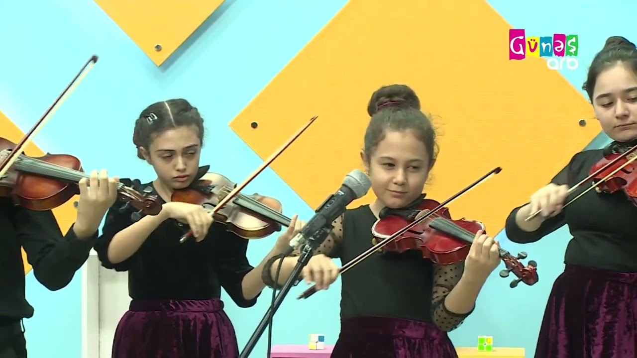 Violin Ansambl - Faiq Sudcəddinov Vətən balladası