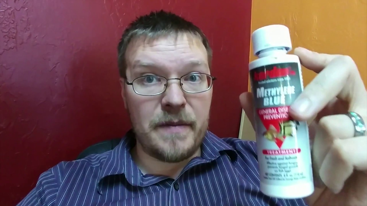 Fish Breeding - fungus treatment options for eggs