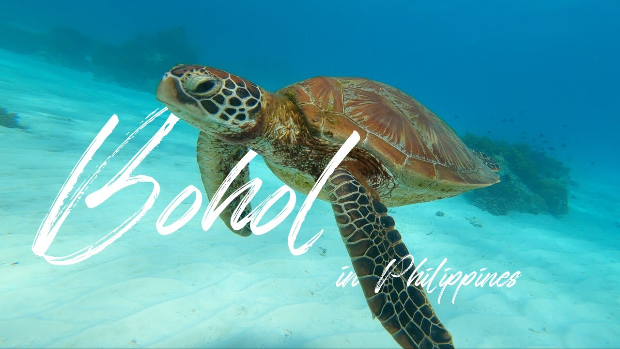 [필리핀 여행] 보홀 프로모션 스티커, 하나투어 / Bohol Promotion Sticker, Hanatour